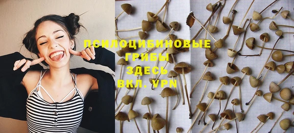 PSILOCYBIN Верхнеуральск